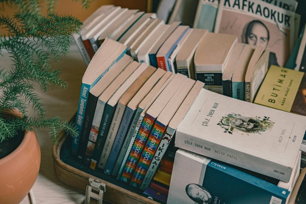 A collection of books neatly arranged in a suitcase next to a potted plant on a wooden table, creating a cozy indoor setting.